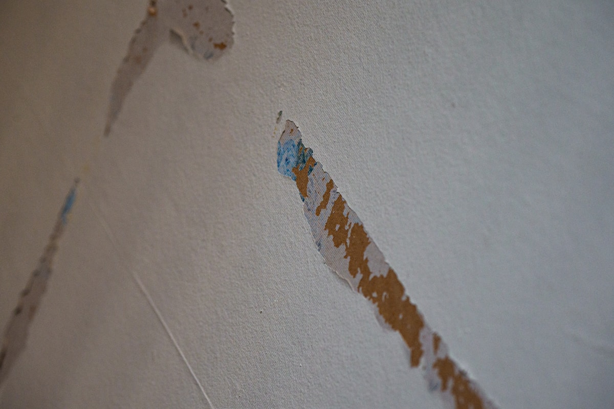 Water Extraction service in Huntersville, NC